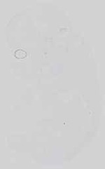 EMAGE:15059