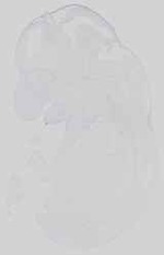 EMAGE:15059