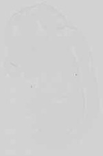 EMAGE:15059