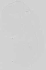 EMAGE:15059