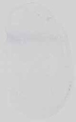 EMAGE:15059