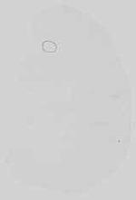 EMAGE:15059