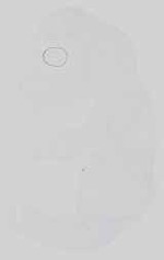 EMAGE:15059