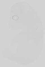 EMAGE:15063