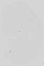EMAGE:15077