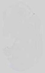 EMAGE:15096