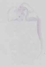 EMAGE:15105