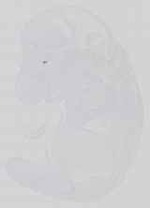 EMAGE:15115