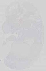 EMAGE:15115