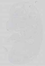 EMAGE:15115