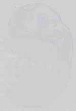 EMAGE:15117