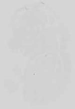 EMAGE:15126