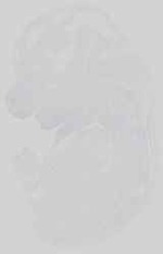 EMAGE:15128
