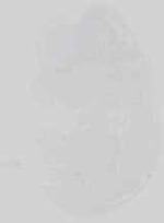 EMAGE:15128