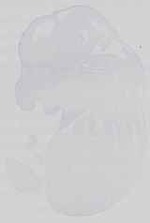 EMAGE:15129