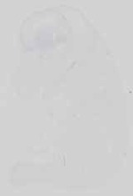 EMAGE:15140