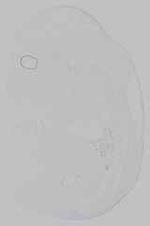 EMAGE:15143
