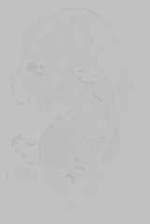 EMAGE:15143