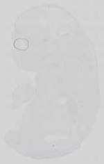 EMAGE:15146