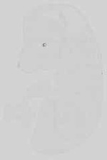 EMAGE:15150