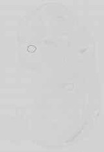 EMAGE:15154