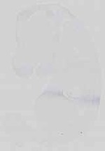 EMAGE:15155
