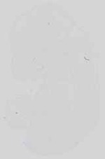 EMAGE:15157