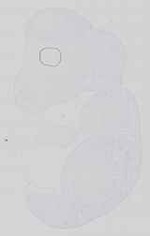 EMAGE:15157