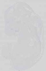 EMAGE:15160