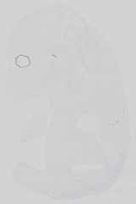 EMAGE:15175