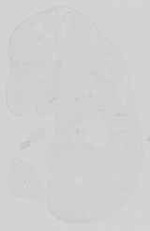 EMAGE:15176