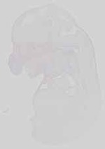 EMAGE:15176