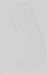 EMAGE:15176