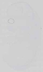 EMAGE:15191