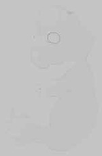 EMAGE:15196