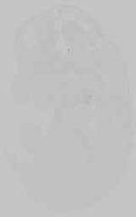 EMAGE:15204