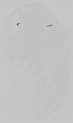 EMAGE:15210