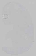 EMAGE:15225