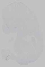EMAGE:15225