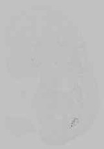 EMAGE:15225
