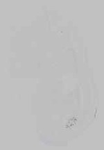 EMAGE:15225