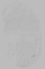 EMAGE:15225