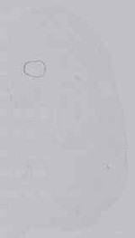 EMAGE:15228