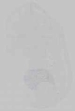 EMAGE:15243