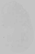 EMAGE:15244