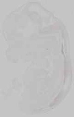 EMAGE:15320