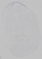 EMAGE:15363