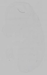 EMAGE:15372