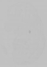 EMAGE:15373