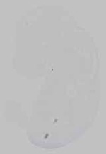 EMAGE:15387